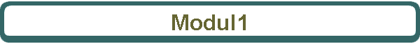 Modul1