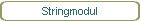 Stringmodul