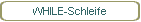 WHILE-Schleife